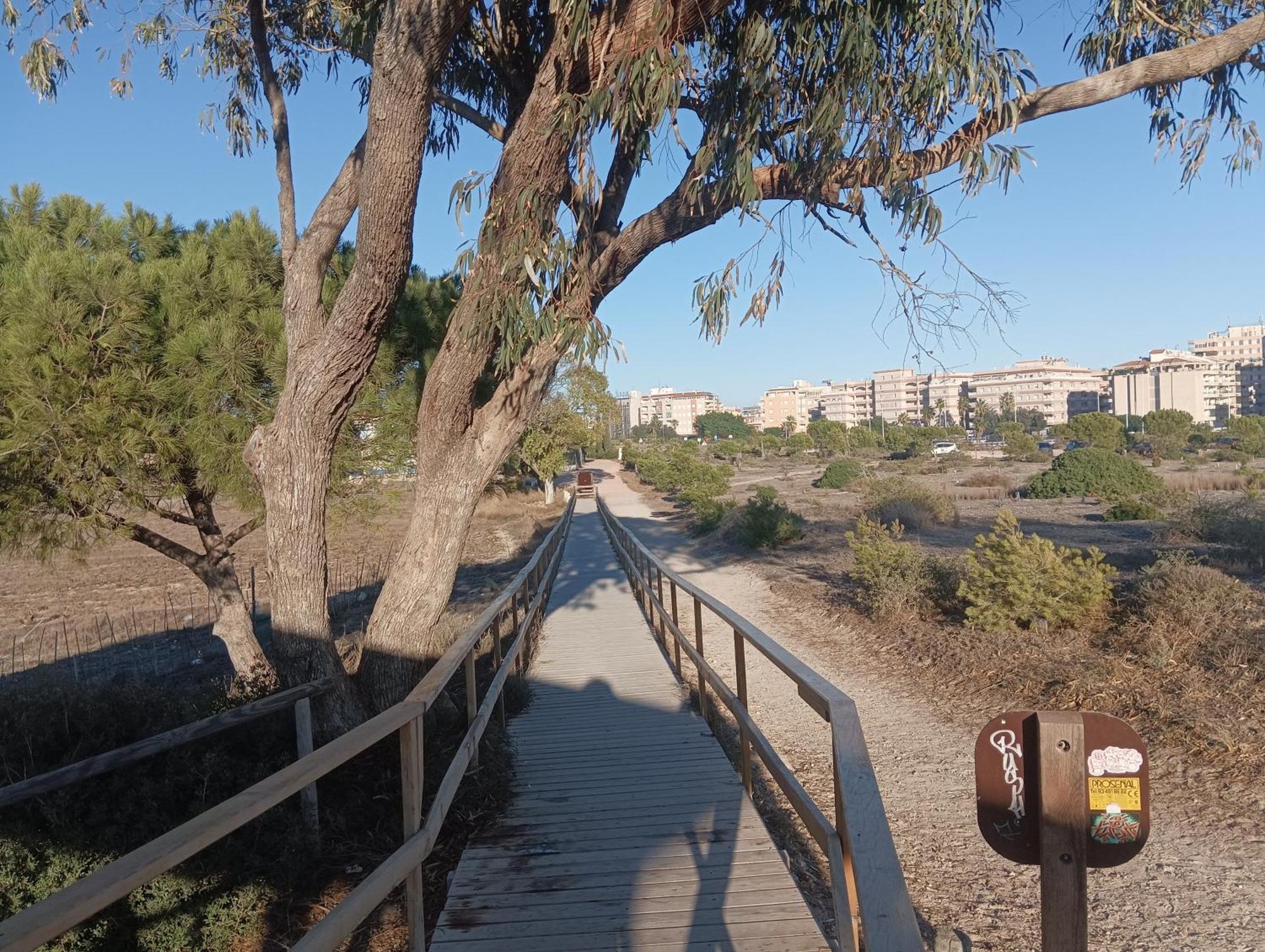 Bonito Apartamento 150 M De La Playa La Mata La Mata  Exterior photo